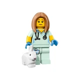LEGO® Collectable Minifigures Series 17 71018 (6/17)