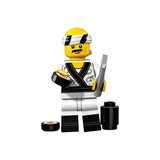 LEGO® NINJAGO The Lego® Ninjago® Movie™ 71019 (18/22)