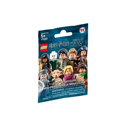 Harry Potter™ und Phantastische Tierwesen™ 71022