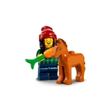 LEGO® Collectable Minifigures Minifiguren Serie 22 71032 (9/15)