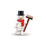 LEGO® Collectable Minifigures Serie 23 71034 (13/17)