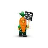 LEGO® Collectable Minifigures Minifiguren Series 24 71037 (14/16)
