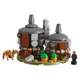 LEGO® Harry Potter™ Schloss Hogwarts™ 71043 (14/20)