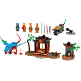 LEGO® NINJAGO Ninja Dragon Temple 71759 (3/8)