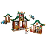 LEGO® NINJAGO Creative Ninja Brick Box 71787 (3/8)