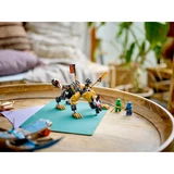 LEGO® NINJAGO® Jagdhund des kaiserlichen Drachenjägers 71790 (7/7) LEGO® NINJAGO® Jagdhund des kaiserlichen Drachenjägers 71790 (7/7)
