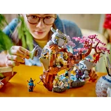 LEGO® NINJAGO® Altaar van de Stenen Draak 71819 (10/10)