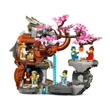 LEGO® NINJAGO® Altaar van de Stenen Draak 71819 (3/10)