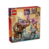 LEGO® NINJAGO® Altaar van de Stenen Draak 71819 (8/10)