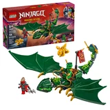 LEGO® NINJAGO® Le dragon vert de la forêt de Lloyd 71829 (1/8)