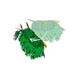 LEGO® NINJAGO® Der Drache des Lebens 71859 (10/11)