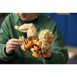 LEGO® Pokémon Arcanine 72160 (11/38)