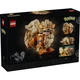 Arcanin 72160 thumbnail-16
