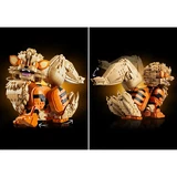 LEGO® Pokémon Arcanine 72160 (31/38)