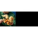 Arcanin 72160 thumbnail-33