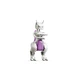 SMART Play: Mewtwo's Lab Break 72163 thumbnail-4