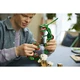 Rayquaza 72168 thumbnail-16