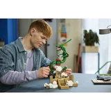 LEGO® Pokémon Rayquaza 72168 (9/22)