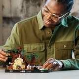 LEGO® Star Wars™ Jedi™ Training auf Dagobah™ – Diorama 75330 (8/10) LEGO® Star Wars™ Jedi™ Training auf Dagobah™ – Diorama 75330 (8/10)