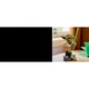 Le buste de Yoda 75438 thumbnail-21