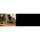 Le buste de Dark Vador 75439 thumbnail-27 Le buste de Dark Vador 75439 thumbnail-27