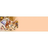LEGO® One Piece Dorry vs. Brogy - Giants of Little Garden 75644 (20/23)