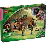 LEGO® Wicked Elphabas Versteck 75687 (11/11)