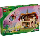 LEGO® BrickHeadz Glinda & Elphaba Visit Munchkinland 75690 (11/11)