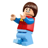 LEGO® Stranger Things Die andere Seite 75810 (26/27)
