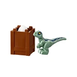 LEGO® Jurassic World™ Angriff des Dilophosaurus 75931 (9/11)