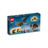 LEGO® Harry Potter™ Magyar à pointes du Tournoi des Trois Sorciers 75946 (4/8)