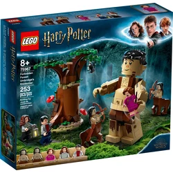 Der Verbotene Wald: Begegnung mit Umbridge 75967