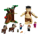 LEGO® Harry Potter™ Forbidden Forest: Umbridge's Encounter 75967 (2/9)