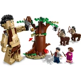 LEGO® Harry Potter™ Forbidden Forest: Umbridge's Encounter 75967 (5/9)