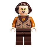 LEGO® Harry Potter™ Le Chemin de Traverse 75978 (27/43) LEGO® Harry Potter™ Le Chemin de Traverse 75978 (27/43)