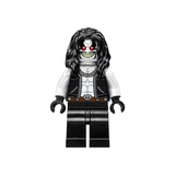 LEGO® DC Comics Super Heroes Superman™ & Krypto™ Team-Up 76096 (6/8) LEGO® DC Comics Super Heroes Superman™ & Krypto™ Team-Up 76096 (6/8)