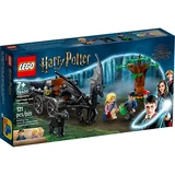 LEGO® Harry Potter™ Hogwarts™ Carriage and Thestrals 76400 (1/8) LEGO® Harry Potter™ Hogwarts™ Carriage and Thestrals 76400 (1/8)