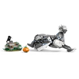 LEGO® Harry Potter™ Hippogreif Seidenschnabel 76427 (4/8)