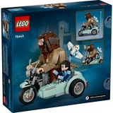 LEGO® Harry Potter™ La balade en moto de Hagrid et Harry 76443 (9/9)