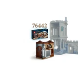 LEGO® Harry Potter™ Hogwarts Castle: Flying Lessons 76447 (7/11)