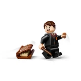 LEGO® Harry Potter™ Beißendes Monsterbuch der Monster 76449 (5/10) LEGO® Harry Potter™ Beißendes Monsterbuch der Monster 76449 (5/10)