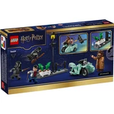 LEGO® Harry Potter™ Hagrid & Harry's Privet Drive Escape 76459 (12/12)