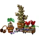 Zweinstein Kruidenkunde planten 76474 thumbnail-12