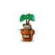 Zweinstein Kruidenkunde planten 76474 thumbnail-2