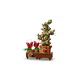 Zweinstein Kruidenkunde planten 76474 thumbnail-4