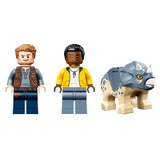 LEGO® Jurassic World™ T. Rex-Skelett in der Fossilienausstellung 76940 (3/13)