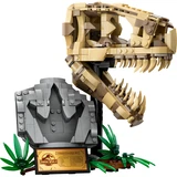 LEGO® Jurassic World™ Dinosaurier-Fossilien: T.-rex-Kopf 76964 (1/8) LEGO® Jurassic World™ Dinosaurier-Fossilien: T.-rex-Kopf 76964 (1/8)