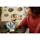 LEGO® Jurassic World™ Dinosaurier-Fossilien: T.-rex-Kopf 76964 (7/8) LEGO® Jurassic World™ Dinosaurier-Fossilien: T.-rex-Kopf 76964 (7/8)