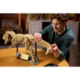 LEGO® Jurassic World™ Les fossiles de dinosaures: le Tyrannosaurus rex 76968 (10/13) LEGO® Jurassic World™ Les fossiles de dinosaures: le Tyrannosaurus rex 76968 (10/13)