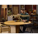 LEGO® Jurassic World™ Les fossiles de dinosaures: le Tyrannosaurus rex 76968 (6/13) LEGO® Jurassic World™ Les fossiles de dinosaures: le Tyrannosaurus rex 76968 (6/13)